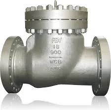 Check Valves